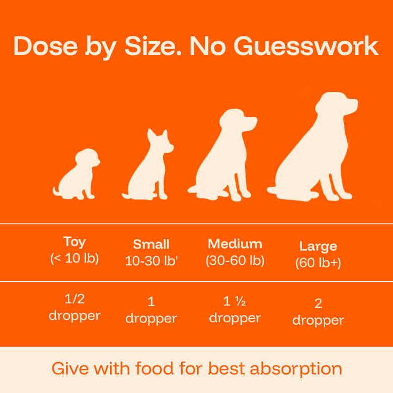 Dog Longevity Protocol Liquid – 60 ml